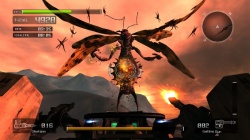 Massacre de boss