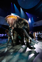 Un éléphant, ça trompe énormément