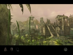 Univers jungle...