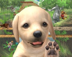 Wah ! Un... Un chien&nbsp;? 