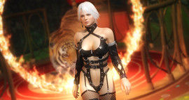 Dead or Alive 5 Ultimate