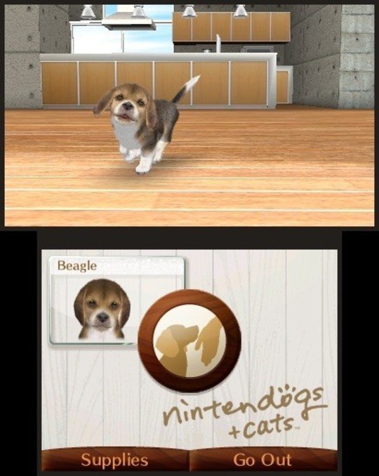 Nintendogs + Cats - Test
