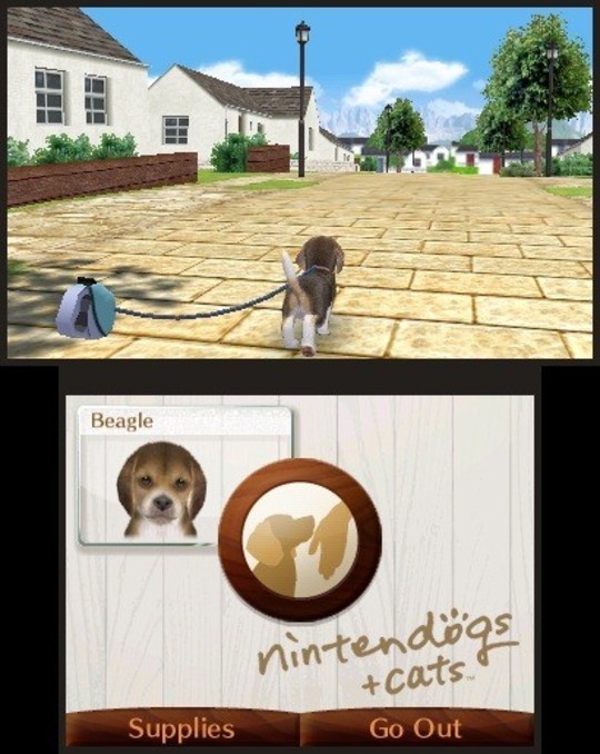 Nintendogs + Cats - Test