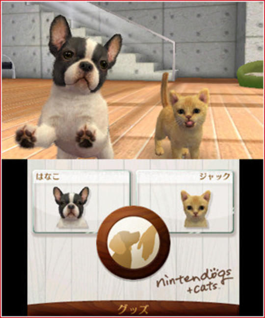 Nintendogs + Cats - Test