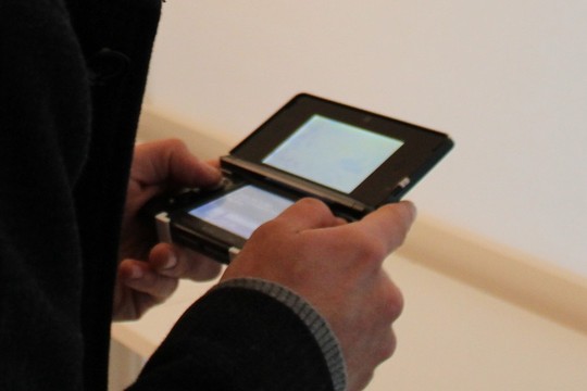 La Nintendo 3DS, 5 mois après