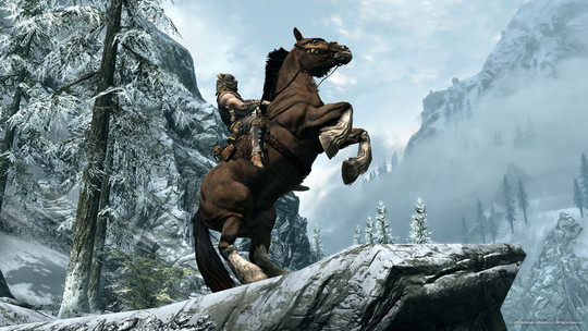 Elder Scrolls V (The) : Skyrim - Test