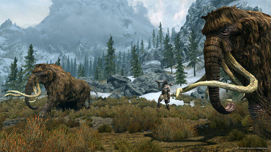 Elder Scrolls V (The) : Skyrim - Test