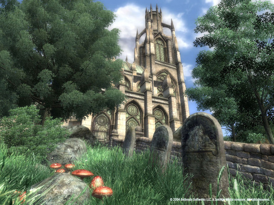 Elder Scrolls IV(The): Oblivion - Test