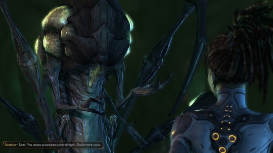 Starcraft II - Heart of the Swarm - Test PC