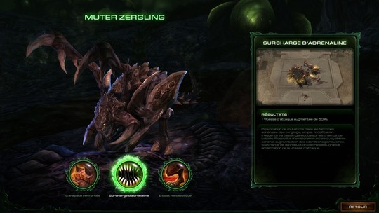 Starcraft II - Heart of the Swarm - Test PC