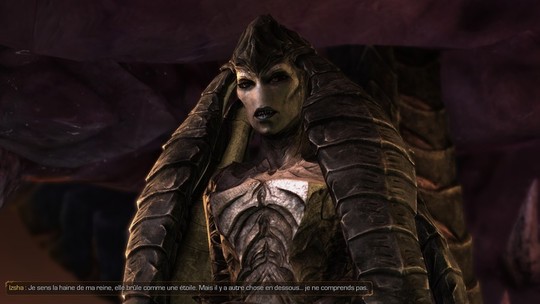 Starcraft II - Heart of the Swarm - Test PC