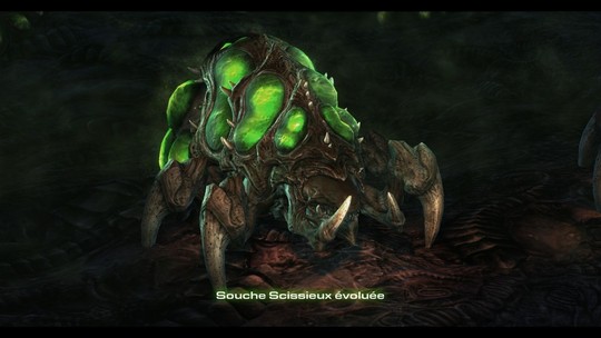 Starcraft II - Heart of the Swarm - Test PC