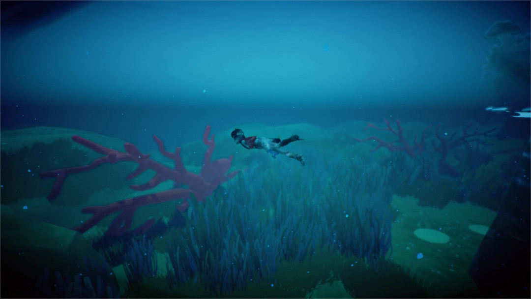 RiME - Test PC