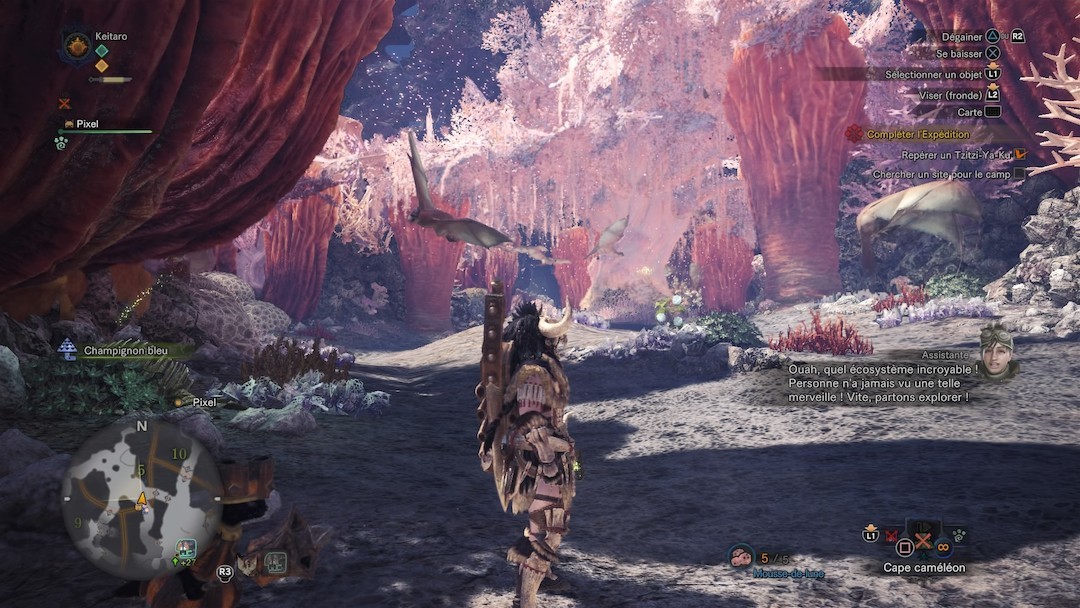 Monster Hunter : World