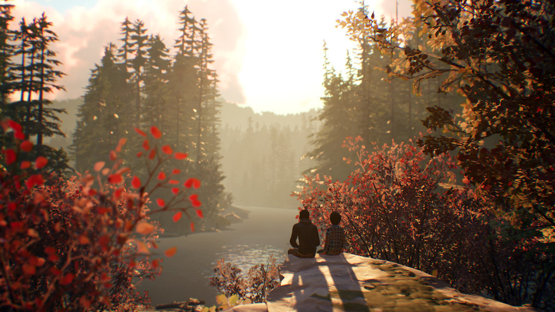 Life is Strange 2 : Épisode 1 - Test PC