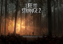 Life is Strange 2 : Épisode 3 - Test PC