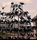 Vol au dessus d'un nid de remakes (Les Oiseaux)